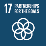 sdg17